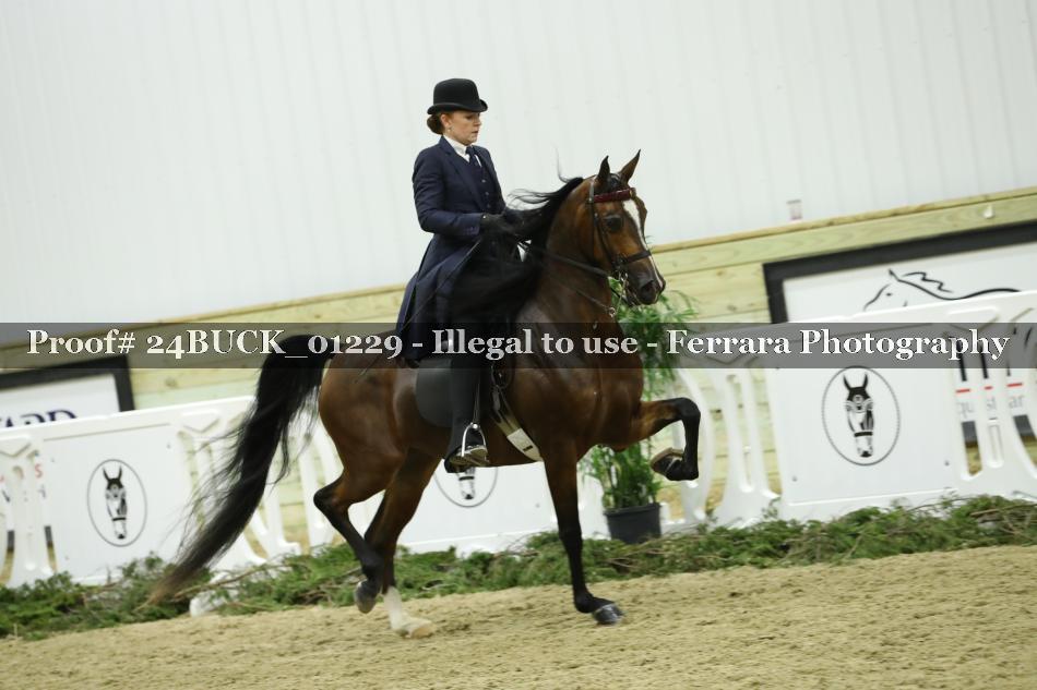 Proof 24BUCK_01229