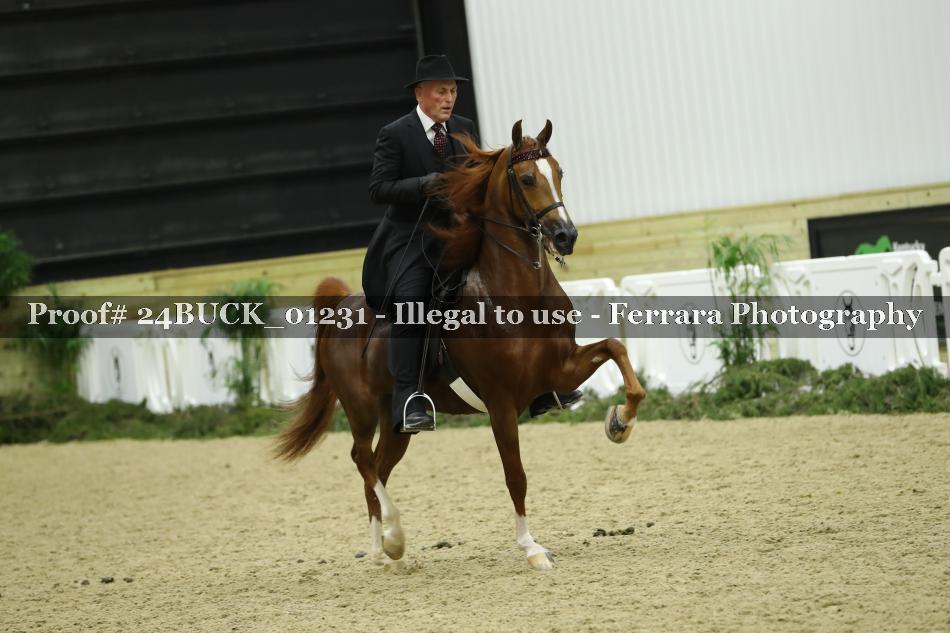 Proof 24BUCK_01231