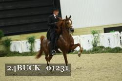 24BUCK_01231 proof