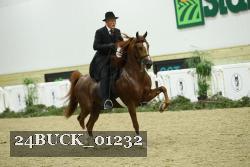 24BUCK_01232 proof