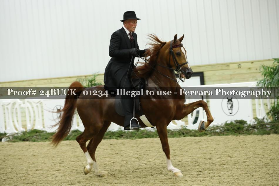 Proof 24BUCK_01234