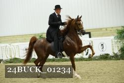 24BUCK_01234 proof