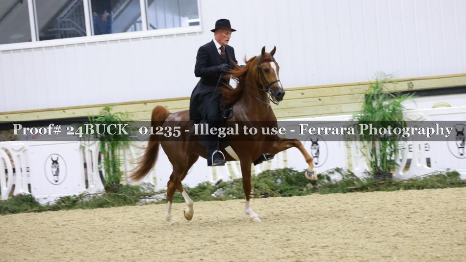 Proof 24BUCK_01235