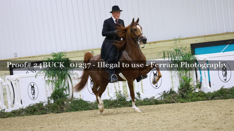 Proof 24BUCK_01237