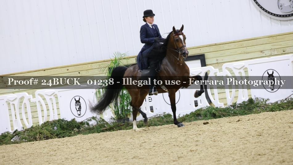 Proof 24BUCK_01238
