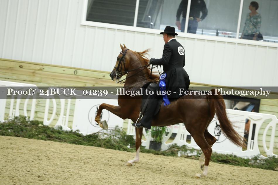 Proof 24BUCK_01239