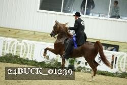 24BUCK_01239 proof