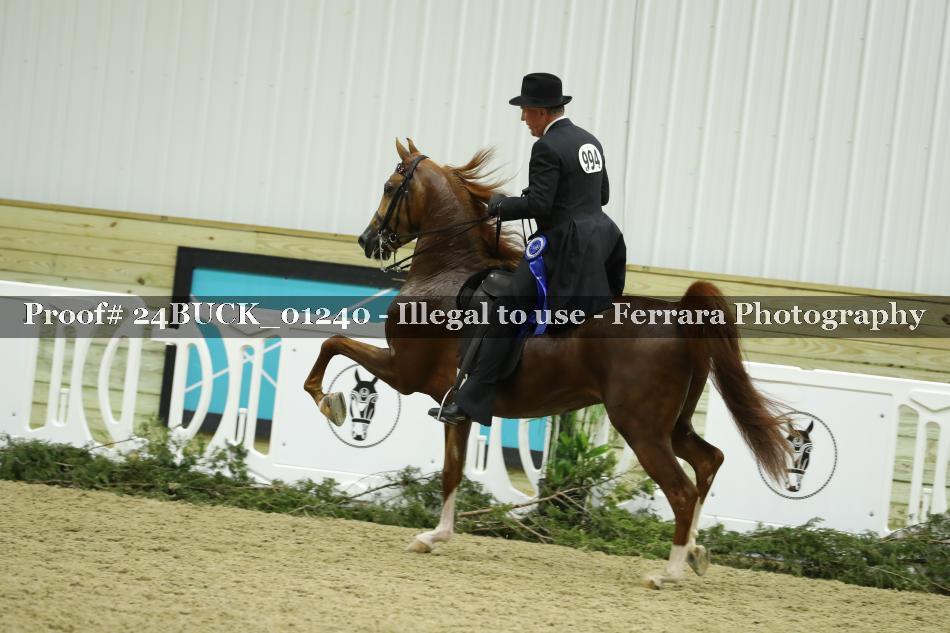 Proof 24BUCK_01240