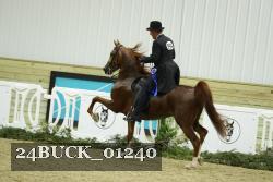 24BUCK_01240 proof