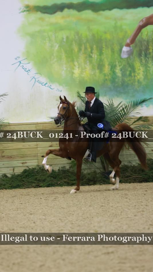 Proof 24BUCK_01241