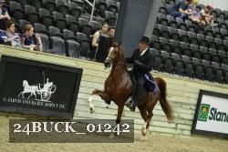 24BUCK_01242 proof