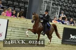 24BUCK_01244 proof