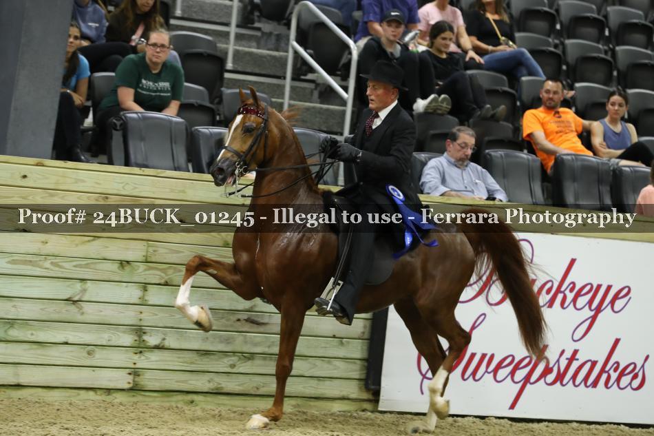 Proof 24BUCK_01245