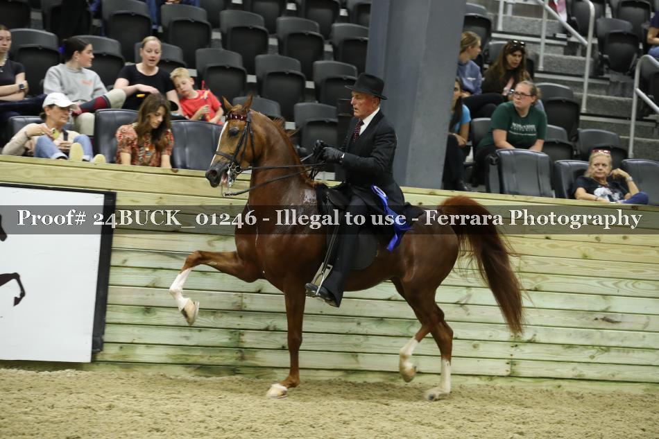 Proof 24BUCK_01246