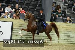 24BUCK_01246 proof