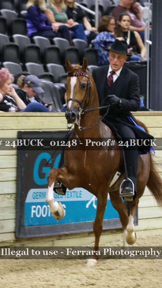 Proof 24BUCK_01248