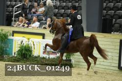 24BUCK_01249 proof