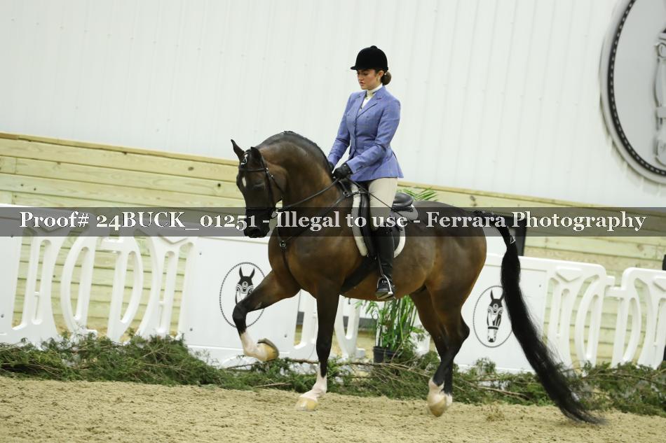 Proof 24BUCK_01251