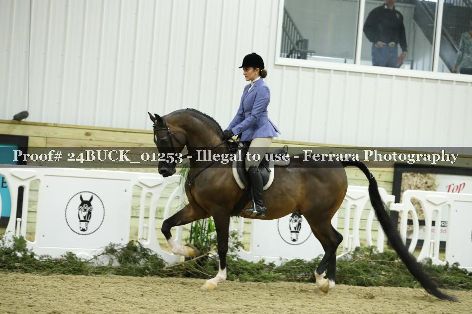 Proof 24BUCK_01253