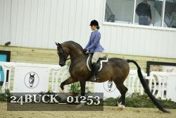24BUCK_01253 proof