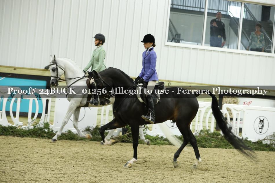 Proof 24BUCK_01256