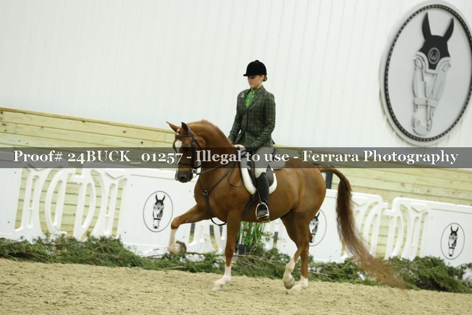 Proof 24BUCK_01257