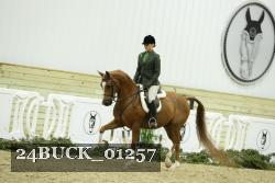 24BUCK_01257 proof