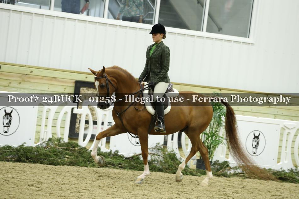 Proof 24BUCK_01258