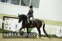 24BUCK_01259 proof