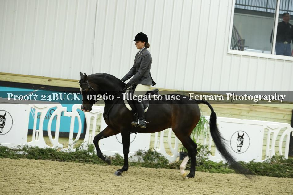Proof 24BUCK_01260
