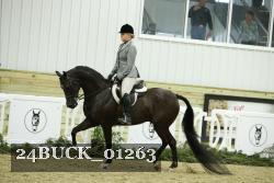24BUCK_01263 proof