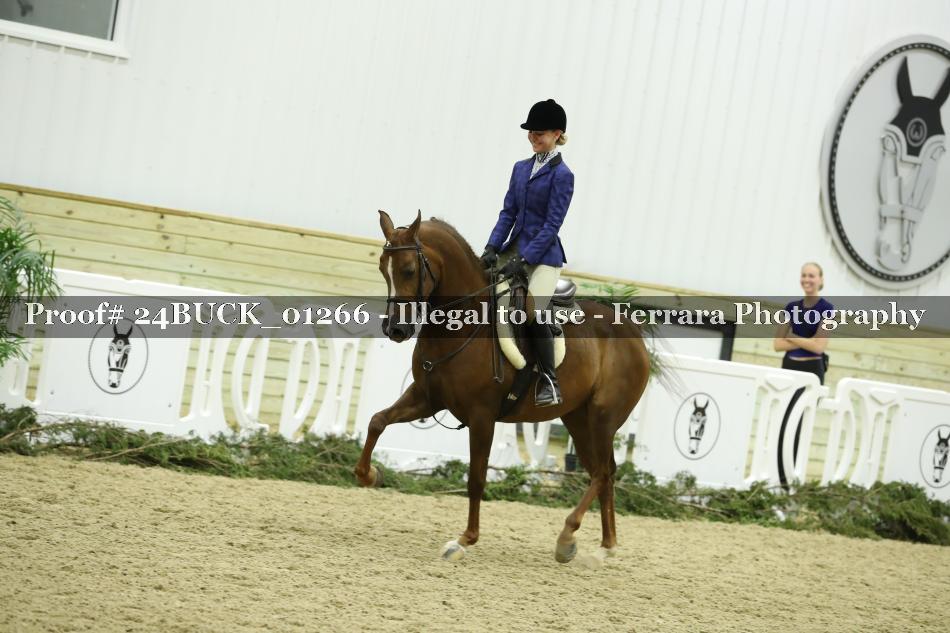 Proof 24BUCK_01266