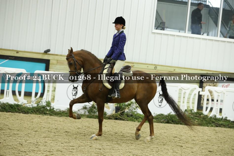 Proof 24BUCK_01268