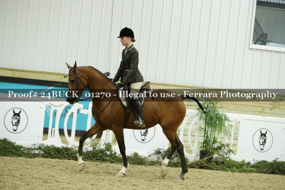Proof 24BUCK_01270