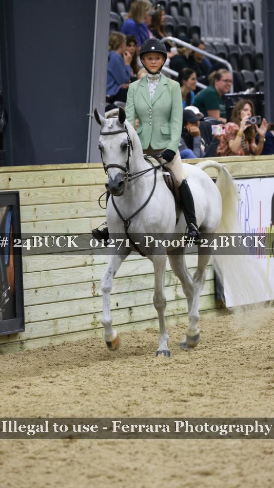 Proof 24BUCK_01271