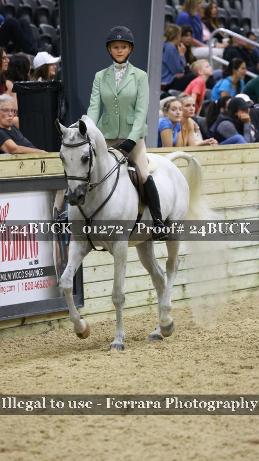 Proof 24BUCK_01272