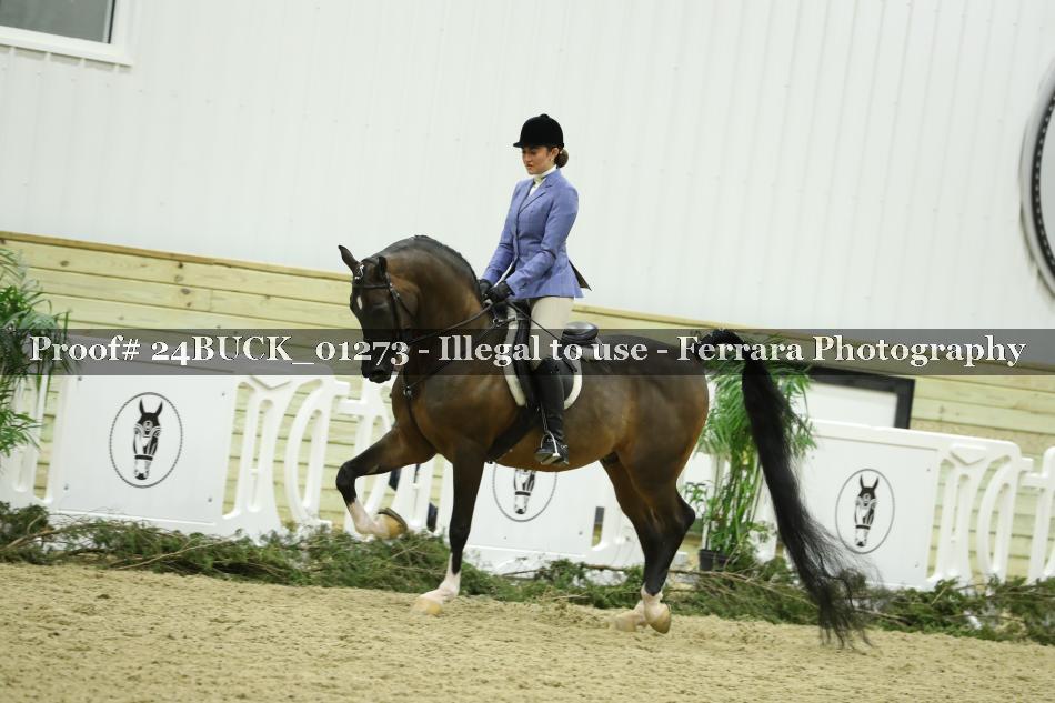 Proof 24BUCK_01273