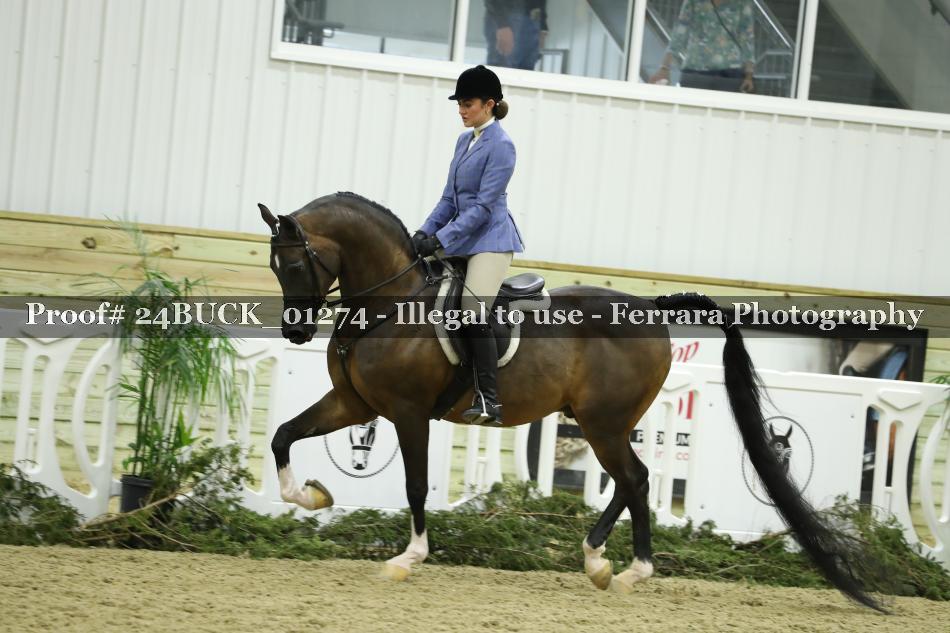 Proof 24BUCK_01274