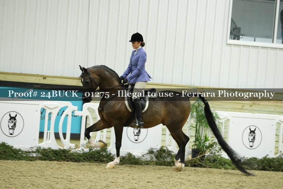Proof 24BUCK_01275