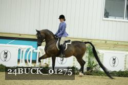 24BUCK_01275 proof