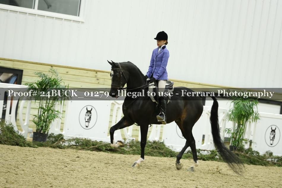 Proof 24BUCK_01279