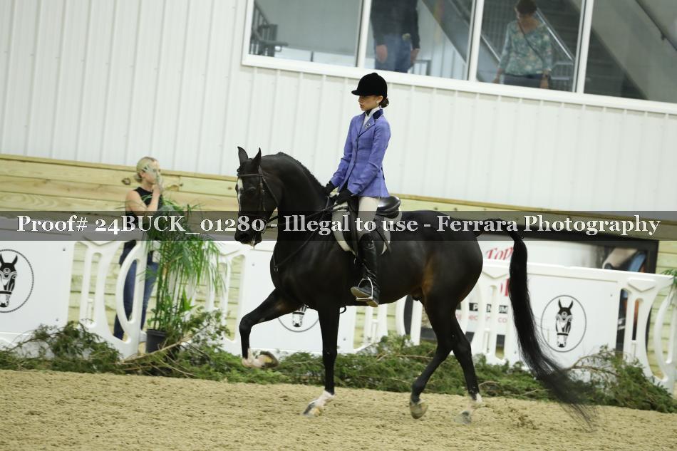 Proof 24BUCK_01280