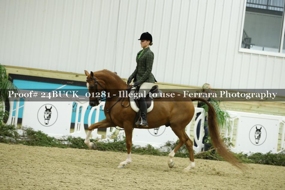 Proof 24BUCK_01281