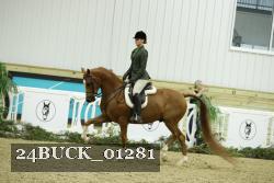 24BUCK_01281 proof