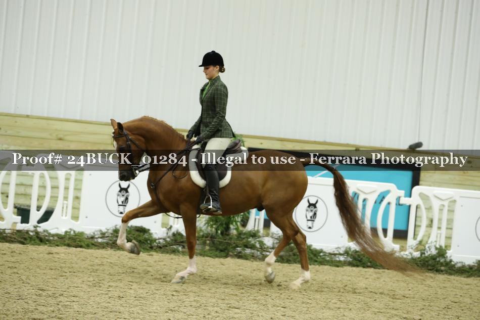 Proof 24BUCK_01284