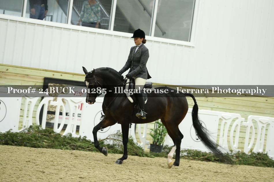 Proof 24BUCK_01285