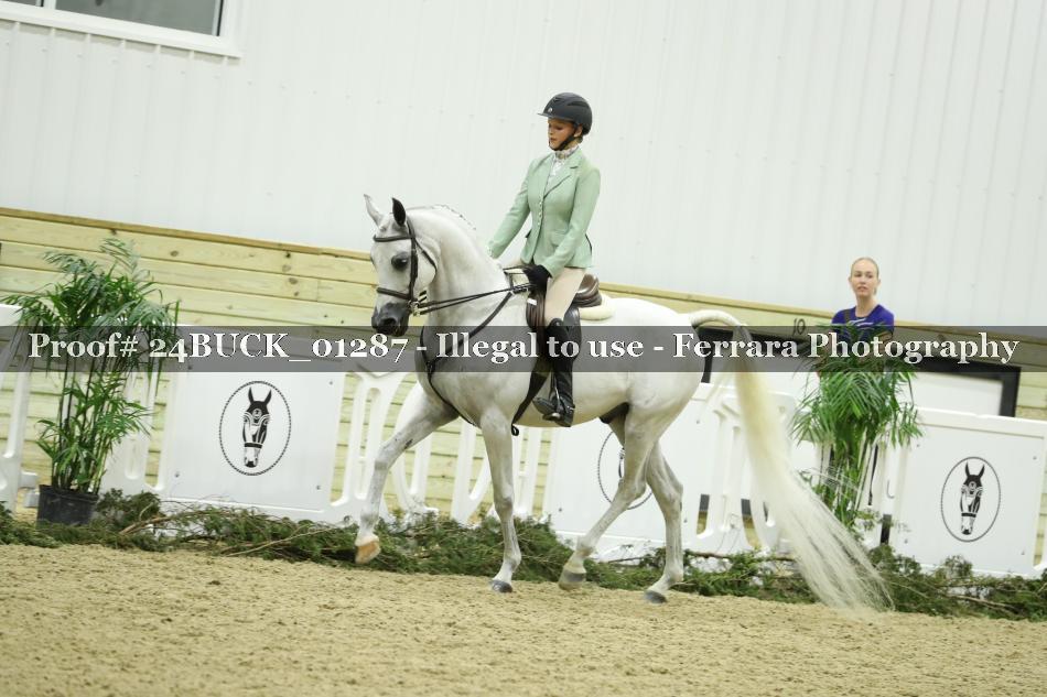 Proof 24BUCK_01287