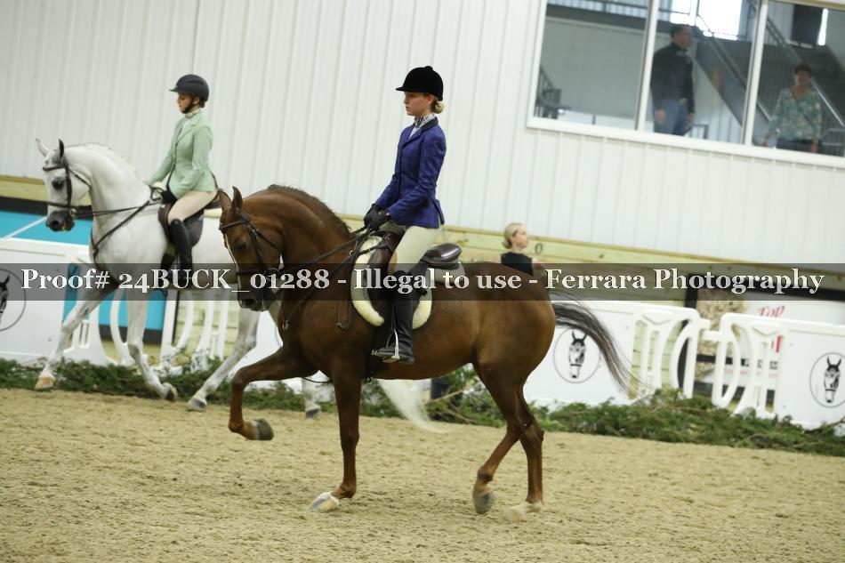 Proof 24BUCK_01288
