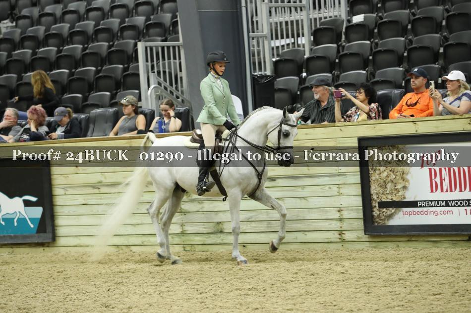 Proof 24BUCK_01290