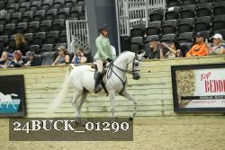 24BUCK_01290 proof